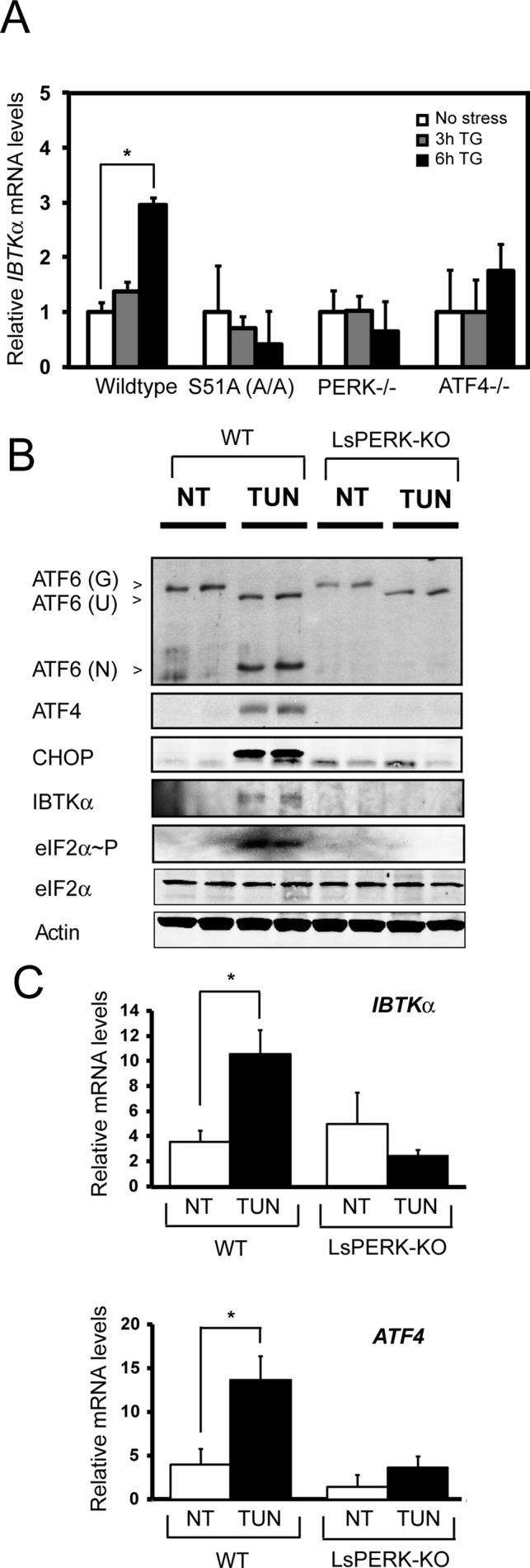 FIGURE 6: