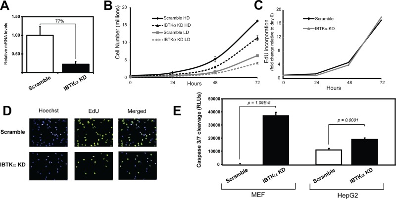 FIGURE 7: