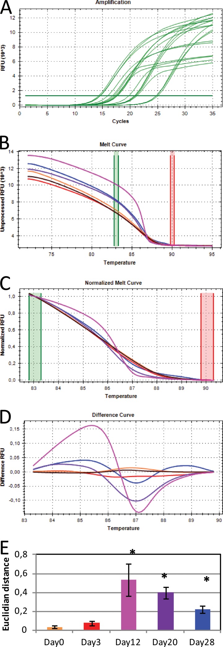 FIG 1