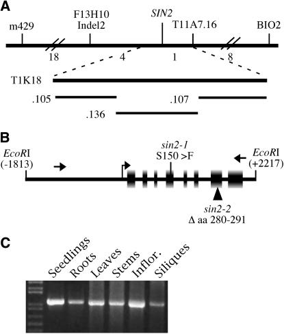 Figure 2.—