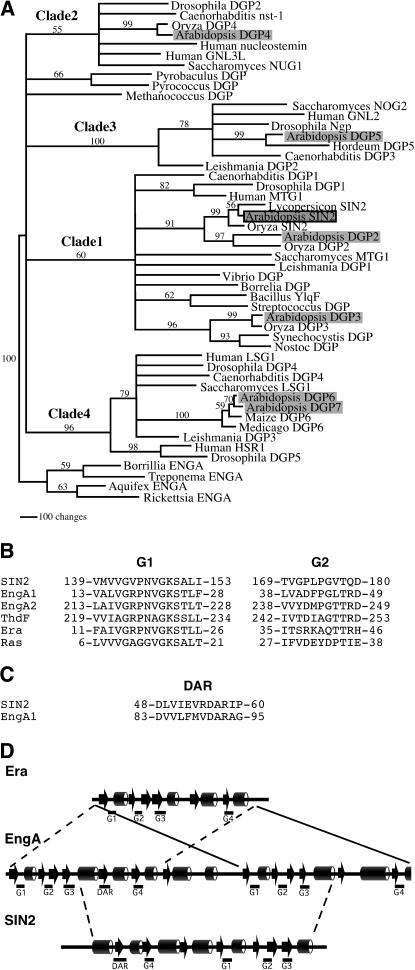 Figure 4.—