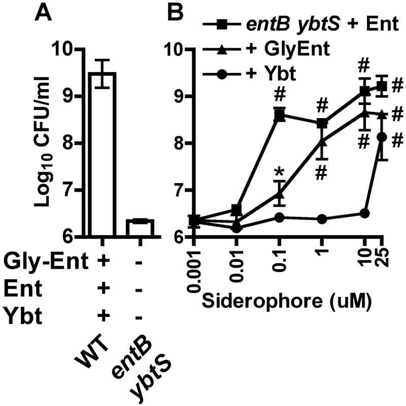 FIG 5 