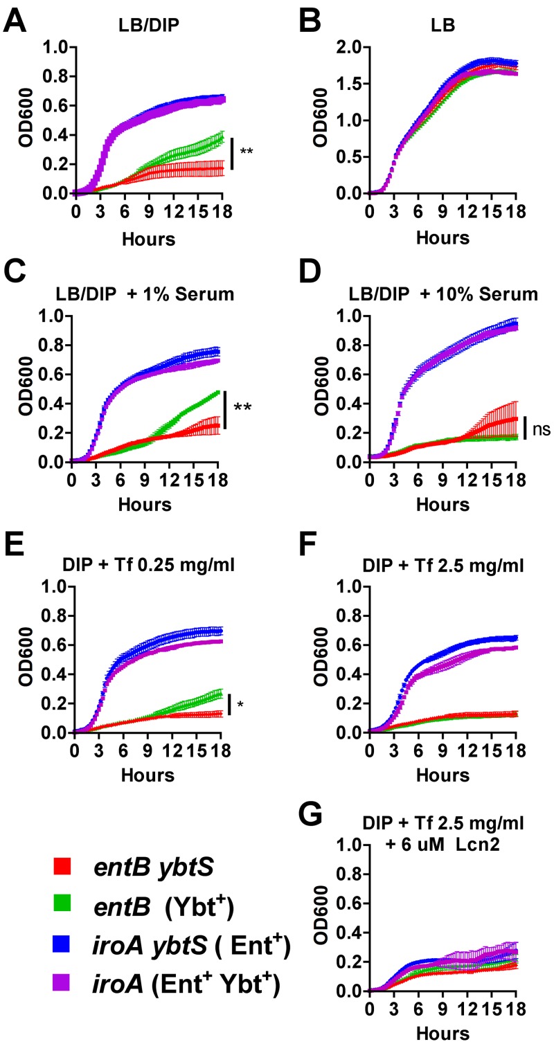 FIG 6 