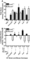 FIG 2