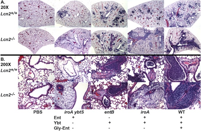 FIG 1 