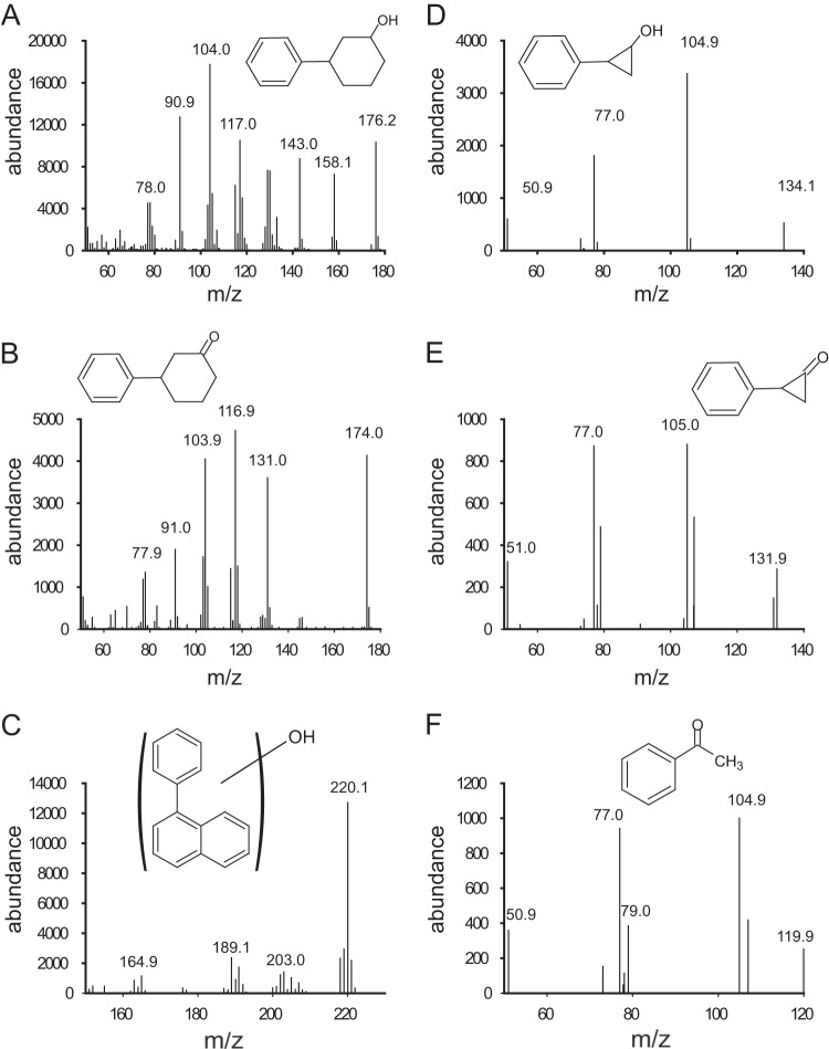 FIG 3