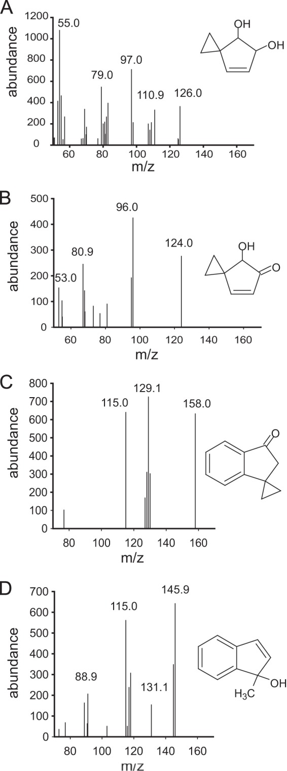 FIG 2