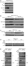 Fig. 5.