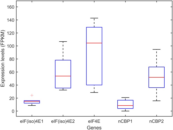 Fig 5