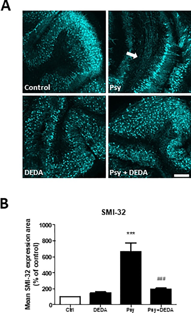 Fig 8