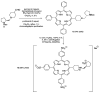 Scheme 5