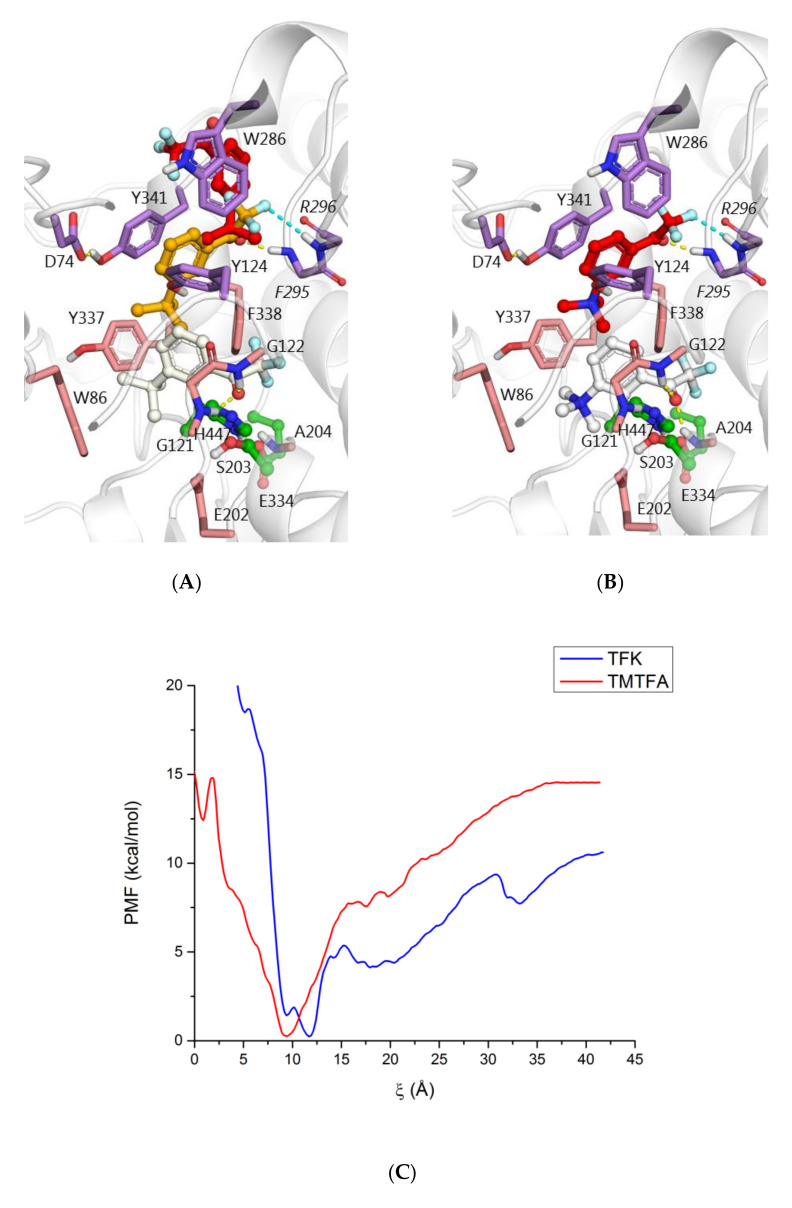 Figure 7