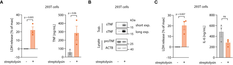 Figure 6