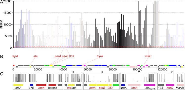 FIG 3