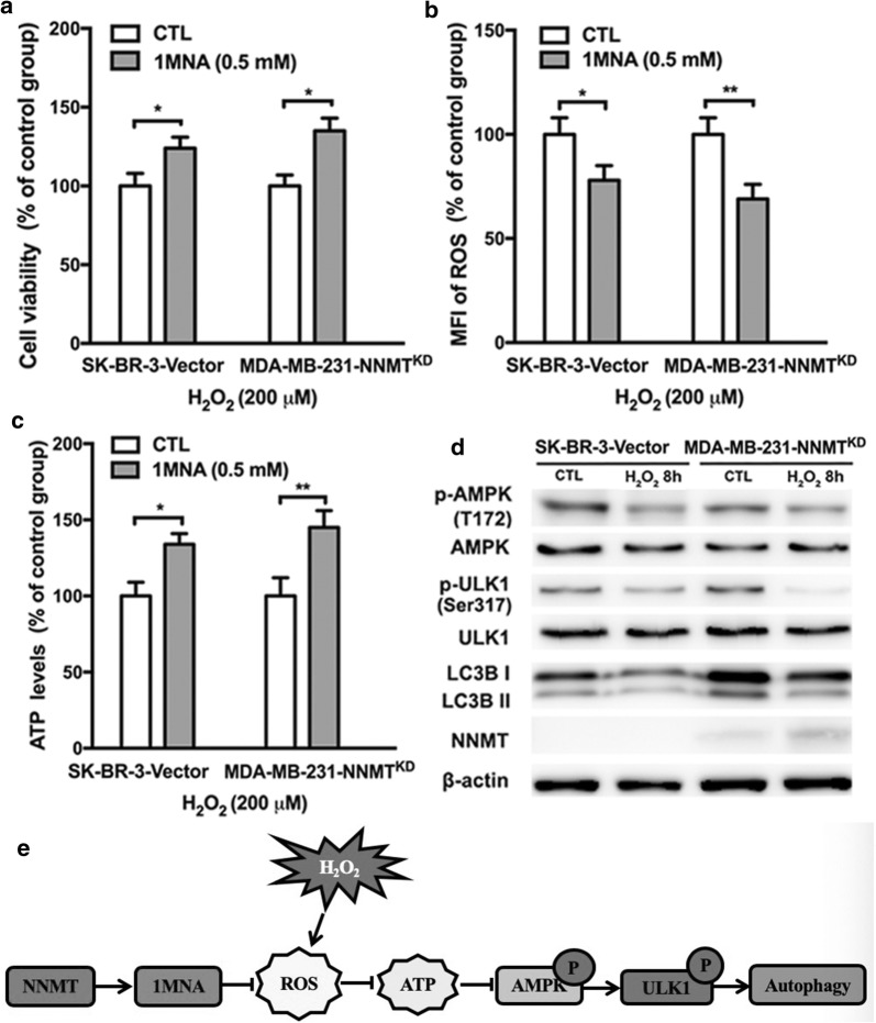 Fig. 6