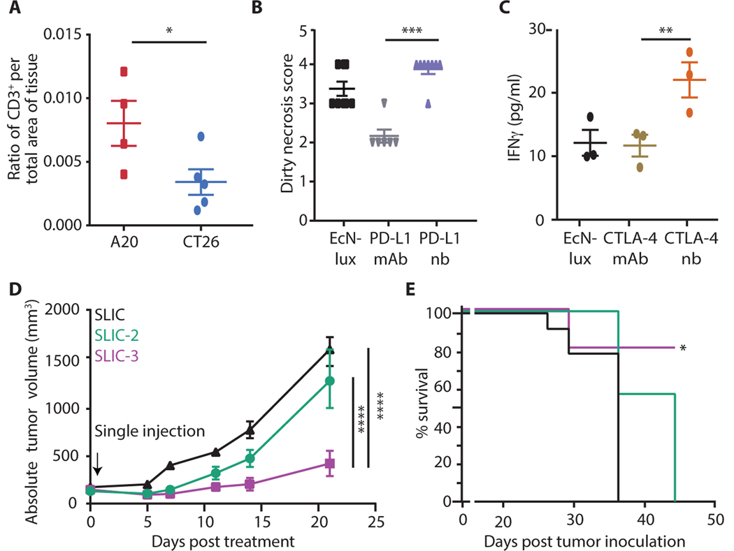 Figure 5: