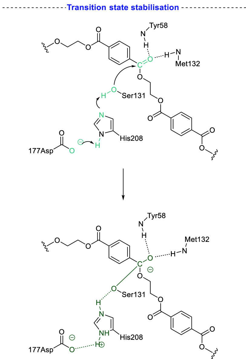 Scheme 6