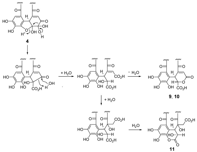 Scheme 1