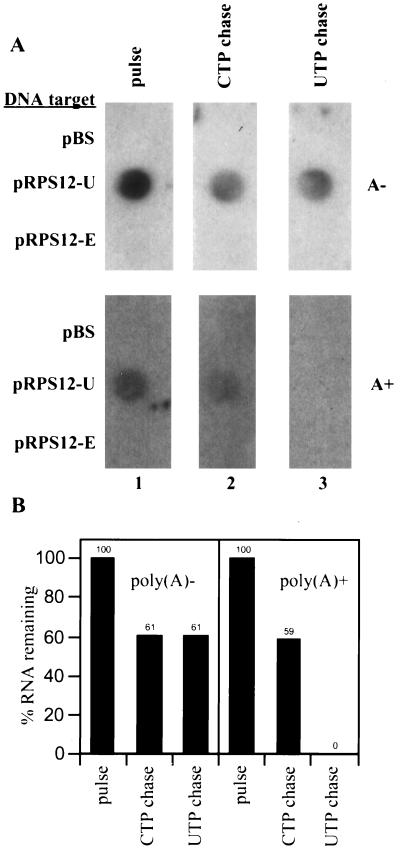 FIG. 9