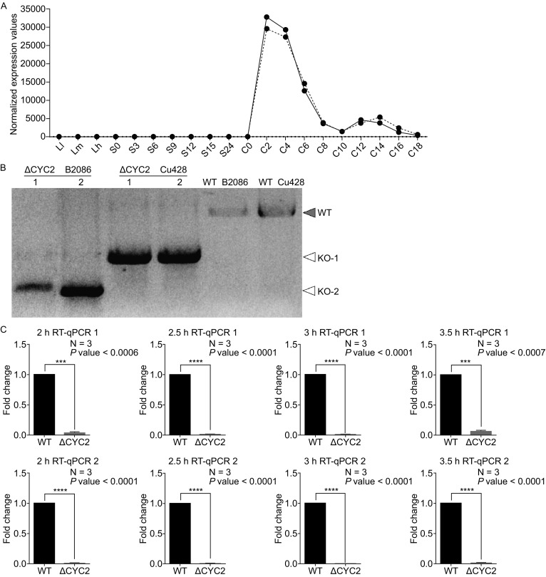 Figure 1