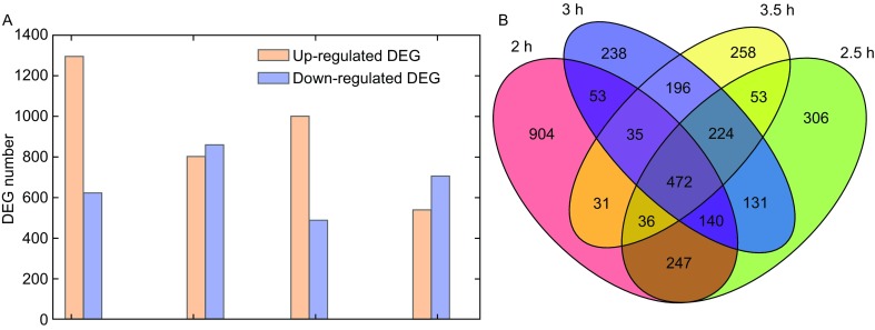 Figure 3