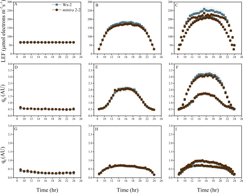 Figure 2—figure supplement 16.