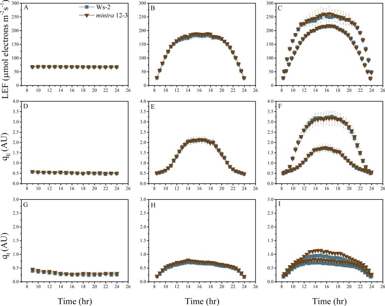 Figure 2—figure supplement 15.