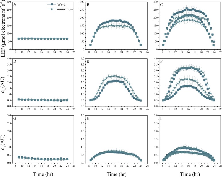 Figure 2—figure supplement 7.