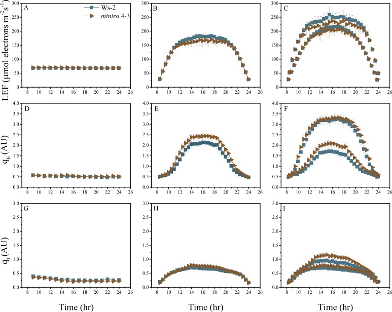 Figure 2—figure supplement 14.