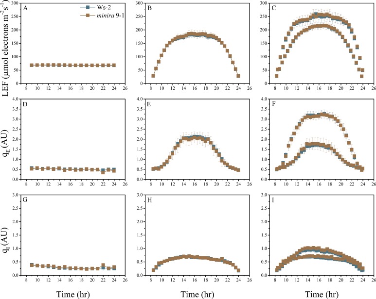 Figure 2—figure supplement 13.