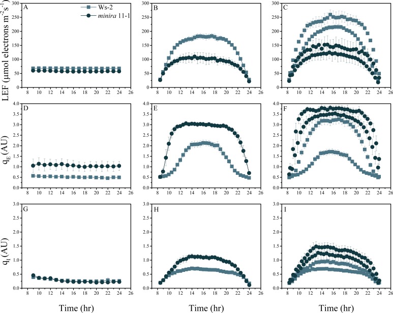 Figure 2—figure supplement 3.