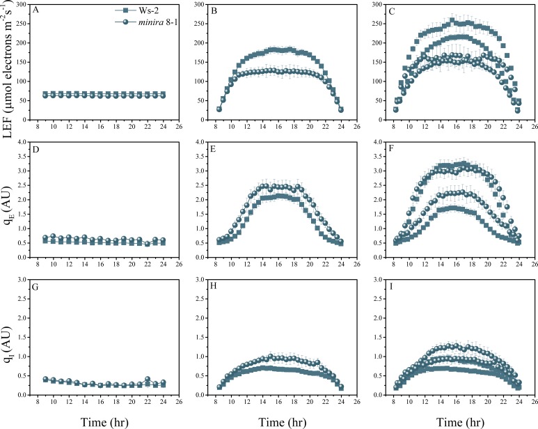 Figure 2—figure supplement 6.