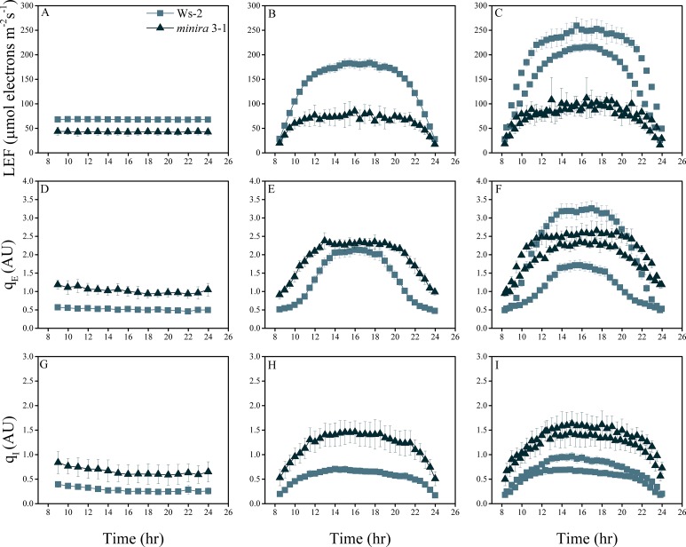 Figure 2—figure supplement 1.