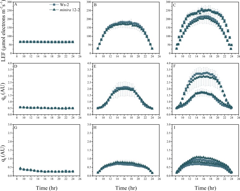 Figure 2—figure supplement 5.