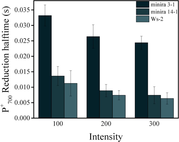 Figure 5—figure supplement 1.