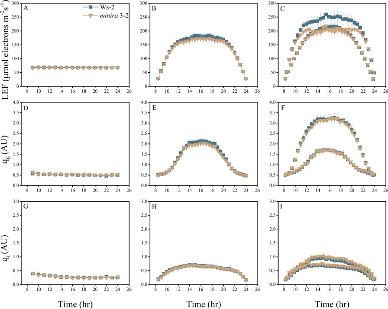 Figure 2—figure supplement 11.