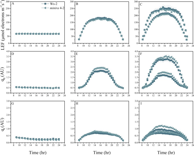 Figure 2—figure supplement 8.