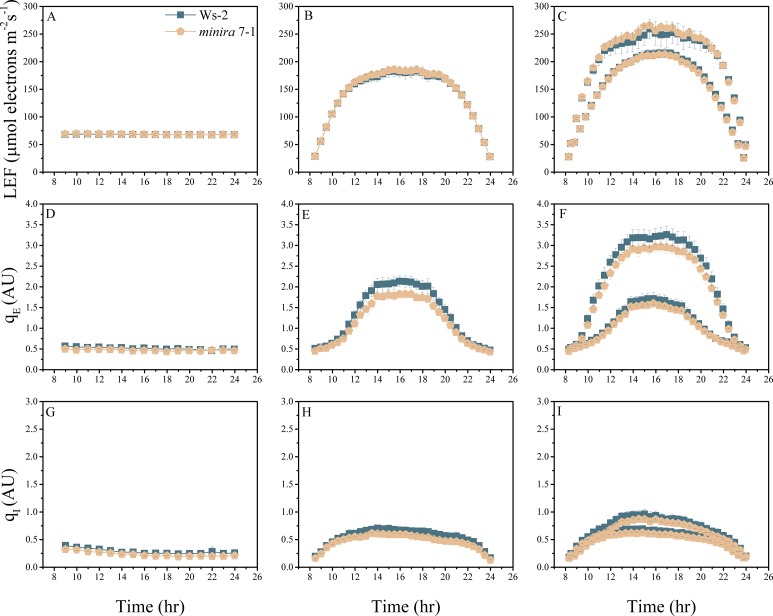 Figure 2—figure supplement 10.