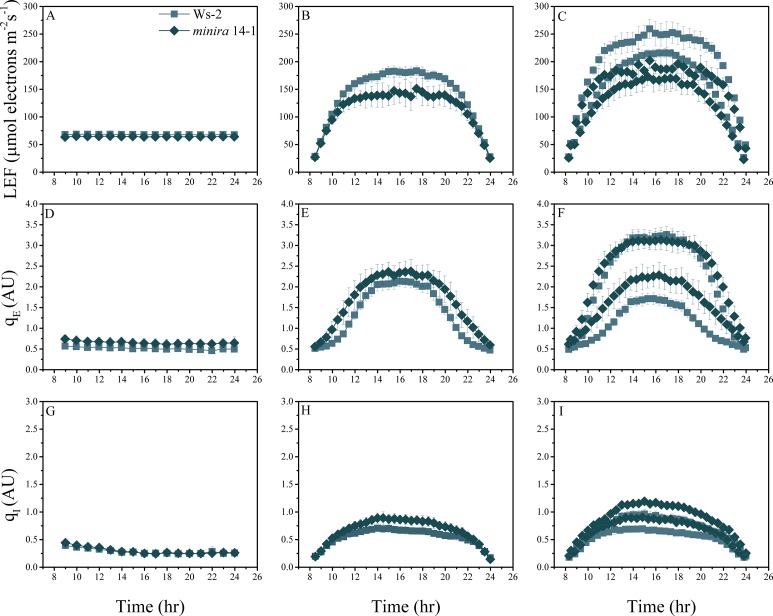 Figure 2—figure supplement 4.