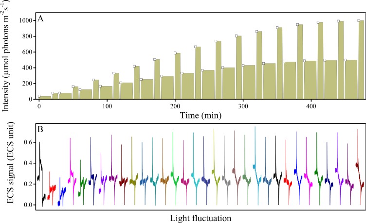 Figure 7—figure supplement 2.