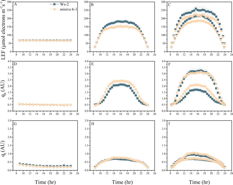 Figure 2—figure supplement 9.