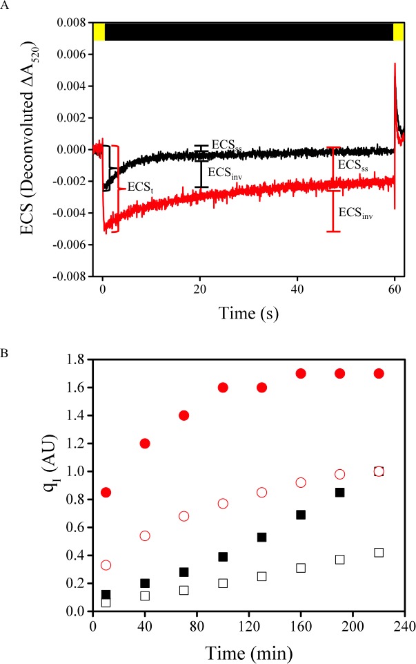 Figure 5—figure supplement 3.