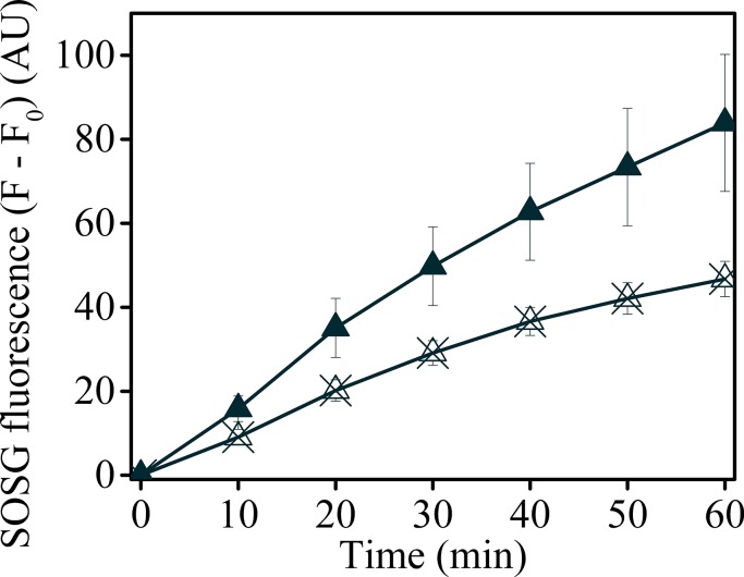 Figure 7—figure supplement 1.