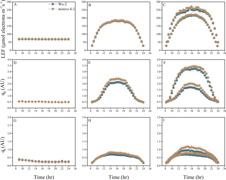 Figure 2—figure supplement 12.