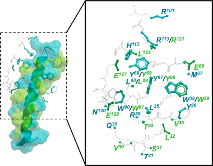 Figure 5.