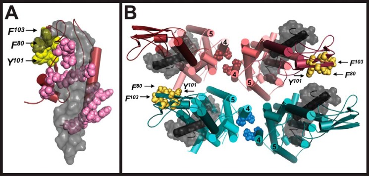 Figure 6.