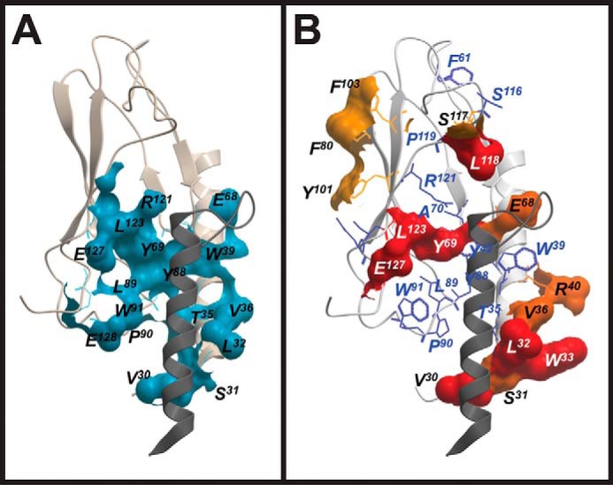 Figure 4.