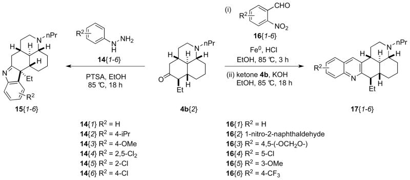 Scheme 6