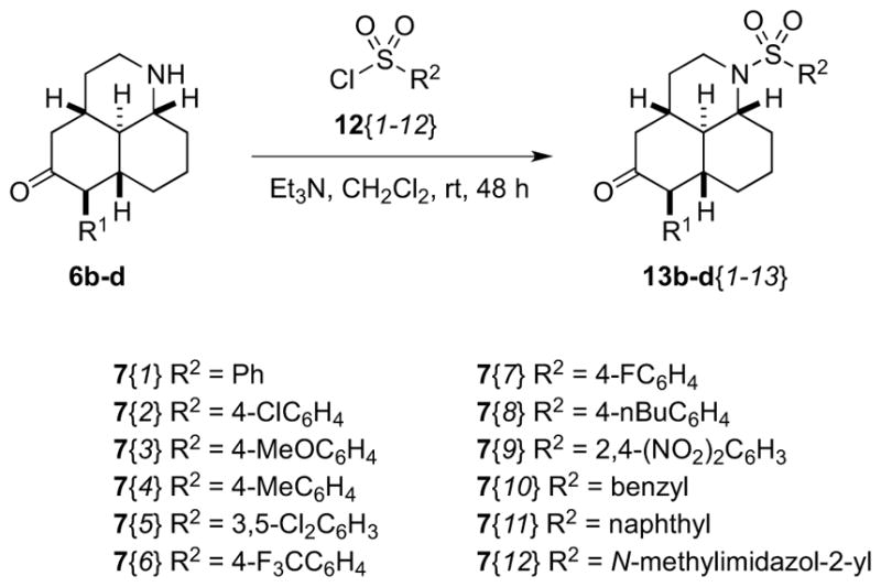 Scheme 5