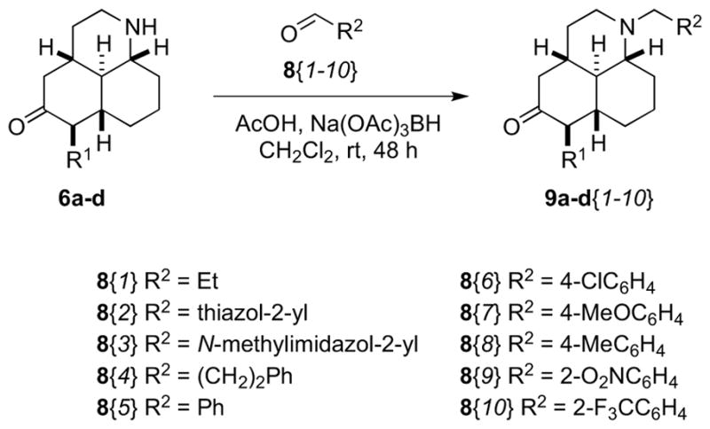 Scheme 3